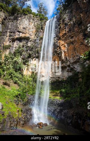 Die majestätischen und ikonischen Purling Bach fällt an einem warmen Herbsttag im Springbrook National Park in der Nähe der Gold Coast, Queensland, Australien Stockfoto