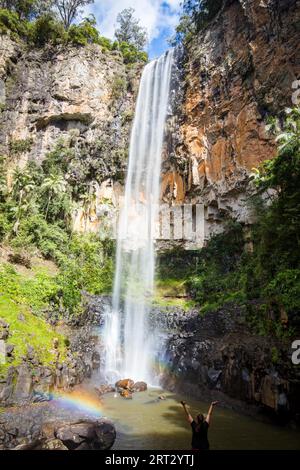 Die majestätischen und ikonischen Purling Bach fällt an einem warmen Herbsttag im Springbrook National Park in der Nähe der Gold Coast, Queensland, Australien Stockfoto