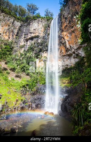 Die majestätischen und ikonischen Purling Bach fällt an einem warmen Herbsttag im Springbrook National Park in der Nähe der Gold Coast, Queensland, Australien Stockfoto