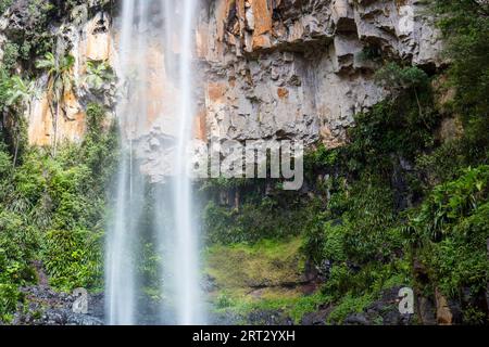 Die majestätischen und ikonischen Purling Bach fällt an einem warmen Herbsttag im Springbrook National Park in der Nähe der Gold Coast, Queensland, Australien Stockfoto