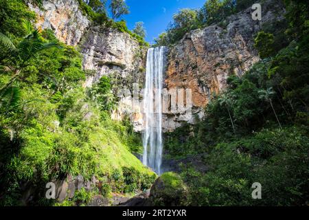 Die majestätischen und ikonischen Purling Bach fällt an einem warmen Herbsttag im Springbrook National Park in der Nähe der Gold Coast, Queensland, Australien Stockfoto