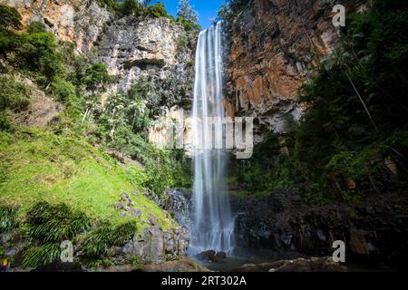 Die majestätischen und ikonischen Purling Bach fällt an einem warmen Herbsttag im Springbrook National Park in der Nähe der Gold Coast, Queensland, Australien Stockfoto