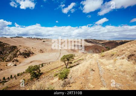 Das beliebte touristische Wahrzeichen der Werribee-Schlucht. Dies ist der Centenary Track, der auf den Gipfel des James Whyte Island Reserve aufsteigt Stockfoto