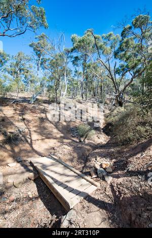 Das beliebte touristische Wahrzeichen der Werribee-Schlucht. Dies ist der Centenary Track, der auf den Gipfel des James Whyte Island Reserve aufsteigt Stockfoto