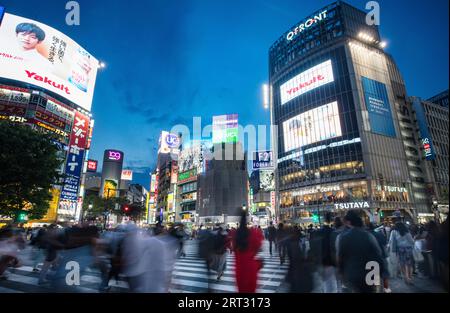 TOKIO, JAPAN, 11. MAI 2019, Shibuya Crossing ist eine der meistgenutzten Fußgängerübergänge der Welt im Zentrum von Tokio, Japan Stockfoto