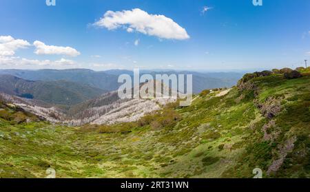 Im Sommer Blick vom Mt Buller über wenig Buller Sporn und der Viktorianischen Alpen in Australien Stockfoto