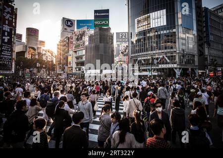 TOKIO, JAPAN, 11. MAI 2019, Shibuya Crossing ist eine der meistgenutzten Fußgängerübergänge der Welt im Zentrum von Tokio, Japan Stockfoto