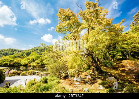 Tenryu-JI-Garten an einem warmen Frühlingstag in Arashiyama, Kyoto, Japan Stockfoto