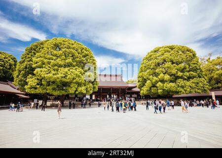 Tokio, Japan, 11. Mai 2019: Meji-jingu Gyoen and Shrine ist eine beliebte Touristenattraktion in Tokio in der Nähe von Harajuku in Tokio, Japan Stockfoto