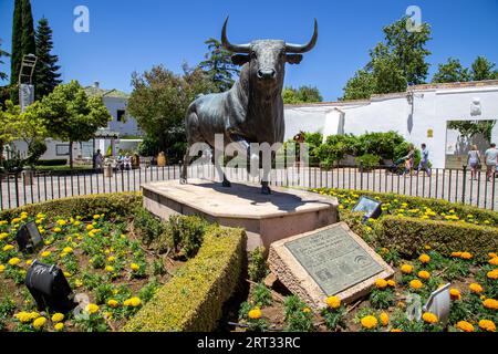 Ronda, Spanien, 31. Mai 2019: Stierstatue vor der Stierkampfarena im historischen Stadtzentrum Stockfoto