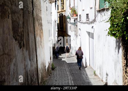 Granada, Spanien, 27. Mai 2019: Eine enge Gasse mit weißen Häusern im historischen Bezirk Albaicin Stockfoto