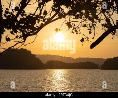 Blick auf den Sonnenuntergang durch die Zweige des Willens, während die Sonne über dem Meer und den Bergen und dem Hafen untergeht. Ein wunderbarer Ort und eine Landschaft voller Kraft und Stockfoto