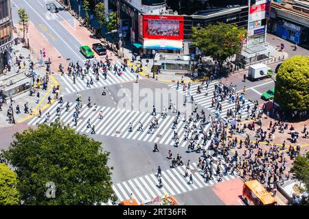 TOKIO, JAPAN, 11. MAI 2019, Shibuya Crossing ist eine der meistgenutzten Fußgängerübergänge der Welt im Zentrum von Tokio, Japan Stockfoto