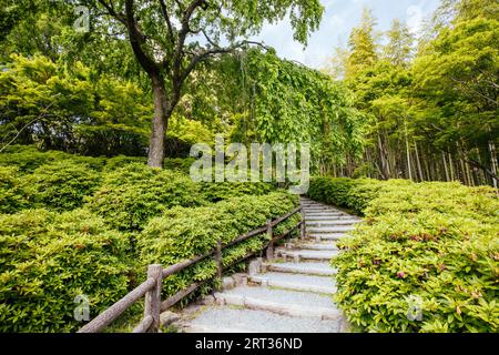 Tenryu-JI-Garten an einem warmen Frühlingstag in Arashiyama, Kyoto, Japan Stockfoto