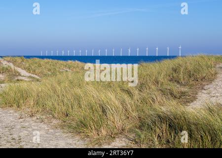 Kopenhagen, Dänemark, 11. Oktober 2018: Sanddünen am Amager Beach mit Offshore-Windkraftanlagen im Hintergrund Stockfoto