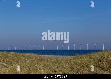 Kopenhagen, Dänemark, 11. Oktober 2018: Sanddünen am Amager Beach mit Offshore-Windkraftanlagen im Hintergrund Stockfoto