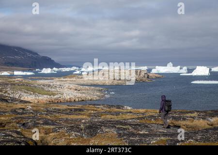 Qeqertarsuaq, Grönland, 5. Juli 2018: Eine junge Frau läuft und schaut auf Eisberge. Qeqertarsuaq ist ein Hafen und eine Stadt an der Südküste Stockfoto