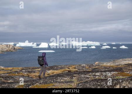 Qeqertarsuaq, Grönland, 5. Juli 2018: Eine junge Frau läuft und schaut auf Eisberge. Qeqertarsuaq ist ein Hafen und eine Stadt an der Südküste Stockfoto