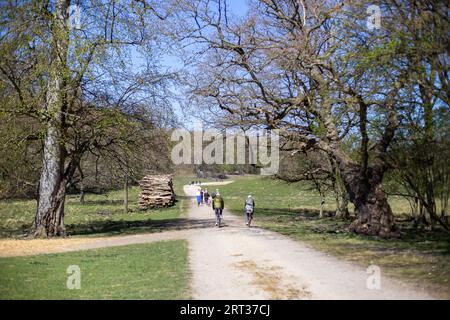 Klampenborg, Dänemark, 21. April 2019: Menschen genießen einen sonnigen Tag im Deer Park Dyrehaven. Dyrehaven ist ein Waldpark nördlich von Kopenhagen Stockfoto