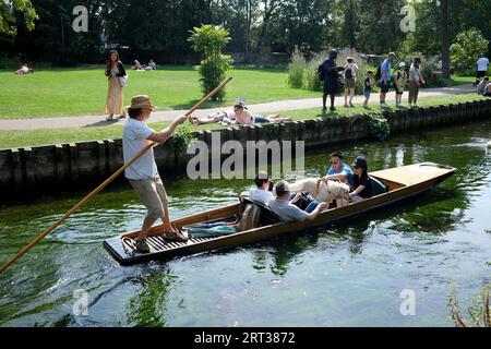 Punting on the River Stour in Canterbury, Kent, Großbritannien. Wer Englands besucht, genießt den Schatten auf dem Fluss stour in den Westgate Towers, Canterbury, Kent, Großbritannien. Anrede: DAVE BAGNALL Stockfoto