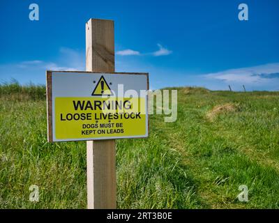 Ein rechteckiges gelbes und weißes Schild, das an einem Holzpfosten auf einem Feld auf einem Bauernhof befestigt ist, warnt Wanderer, dass Vieh lose ist und Hunde auf einem gehalten werden müssen Stockfoto