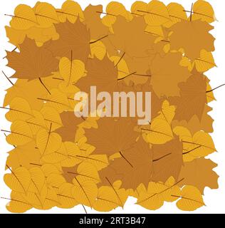 Herbstblätter isoliert auf weißem Hintergrund. Muster der Blätter aus orangefarbenem Ahorn. Vektorillustration. Stock Vektor