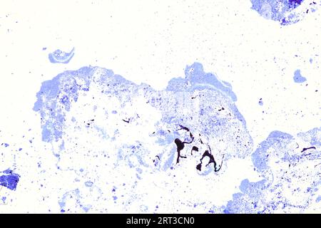 Zufallsmuster durch Papiermarmorierung mit Kugelschreibertinte als Pigmentmaterial Stockfoto