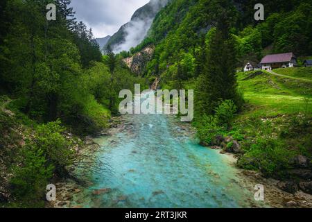 Bekannter Naturort und Kajakziel. Türkisfarbener Soca-Fluss mit felsiger Küste im grünen Wald, Kobarid, Slowenien, Europa Stockfoto