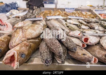 Fisch- und Meeresfrüchtebereich des Olhao Municipal Market an der Algarve, Portugal. Stockfoto