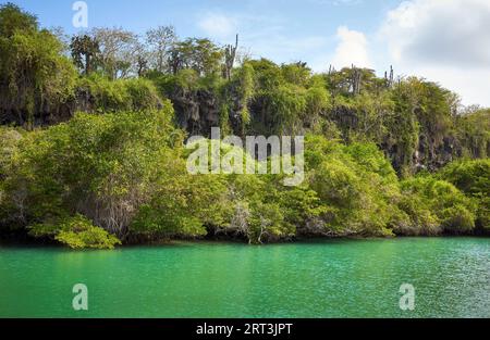 Laguna de las Ninfas auf der Insel Santa Cruz, Galapagos, Ecuador. Stockfoto