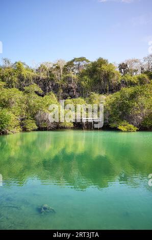 Laguna de las Ninfas auf der Insel Santa Cruz, Galapagos, Ecuador. Stockfoto