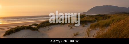 Sanddünen und Gras im Sommer untergehen das goldene Licht der Sonne in Nehalem, Oregon Stockfoto