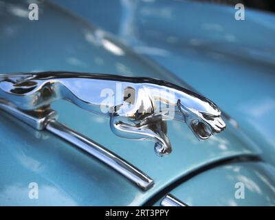 Nahaufnahme eines Jaguar der Marke 2 mit der Verzierung der Motorhaube Stockfoto