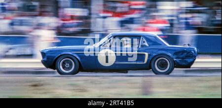Jerry Titus fuhr einen Shelby Racing Ford Mustang bei der Watlins Glen Trans am 1968 und belegte den 1. Platz Stockfoto