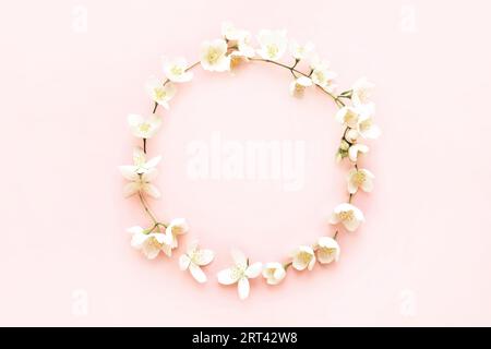 Rahmen aus wunderschönen Jasminblumen auf pinkfarbenem Hintergrund, flach liegend. Platz für Text Stockfoto