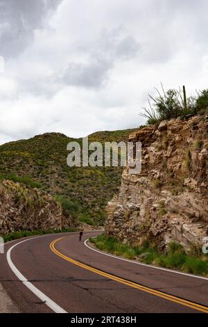 Arizona Auto Tour oder Fahrradtour auf dem Mount Lemmon durch den Coronado National Forest am Catalina Highway Scenic Drive ist eine touristische Sky Island Erholung Stockfoto