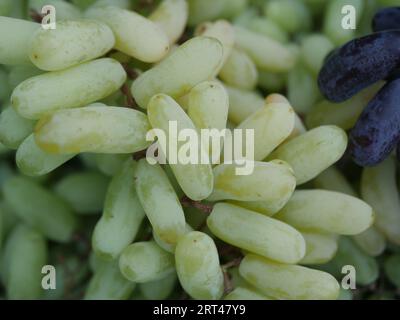 Grüne kernlose Trauben Hintergrund, Früchte Stockfoto