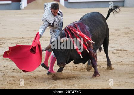 Der Stierkämpfer Paco Ramos während des Stierkampfes von Corrida de Toros auf der Plaza de las Ventas in Madrid, 10. September 2023 Spanien Stockfoto