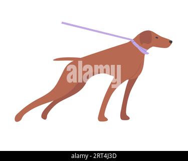 Hundezug beim Gehen. Inländische Welpenrasse, Outdoor-PET-Aktivität Zeichentrickvektor Illustration Stock Vektor