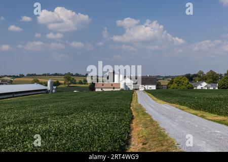 Amish Farm im Pennsylvania Dutch Country, Lancaster County, Pennsylvania Stockfoto