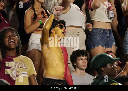 Tallahassee, Florida, USA. September 2021. Florida State Fans während eines College-Fußballspiels zwischen den Southern Miss Golden Eagles und den Florida State Seminoles im Doak-Campbell Stadium in Tallahassee, Florida. Bobby McDuffie/CSM (Bild: © Bobby McDuffie/Cal Sport Media). Quelle: csm/Alamy Live News Stockfoto