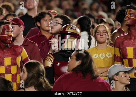 Tallahassee, Florida, USA. September 2021. Florida State Fans während eines College-Fußballspiels zwischen den Southern Miss Golden Eagles und den Florida State Seminoles im Doak-Campbell Stadium in Tallahassee, Florida. Bobby McDuffie/CSM/Alamy Live News Stockfoto