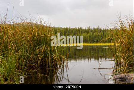 Schöner Red Rock Lake in der Nähe von Nederland, Colorado Stockfoto