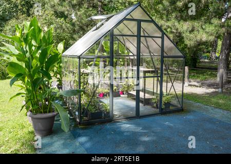 Gewächshaus im Garten. Kleines, kompaktes Glasgewächshaus für den Anbau von Blumen, Gemüse, Setzlingen verschiedener Pflanzen. Gartenarbeit. Wunderschönes Glashaus im Hof. Hobby kein Graben. Stockfoto