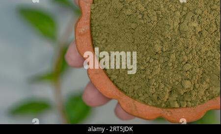 Hennablätter und Pulver in Keramikschale auf grauem Hintergrund. Stockfoto
