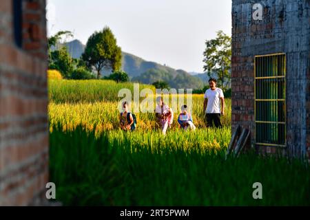 230910 -- GUIDING, 10. September 2023 -- Lu Chengwen 1st R begleitet seine Schüler bei der Rückkehr nach Hause in der Yanshan Township of Guiding County, Provinz Guizhou im Südwesten Chinas, 6. September 2023. Yanjiao Teaching Point ist eine Mikro-Grundschule, die sich in einem flachen Gebiet zwischen Bergen im südwestchinesischen Guizhou befindet. Lu Chengwen ist hier der einzige Lehrer mit 28 Vorschulkindern und 6 Schülern der ersten Klasse. Im Jahr 2012 entschied sich Lu, der gerade seinen Abschluss an der Universität gemacht hatte, am entfernten Yanjiao Teaching Point zu lehren. Vorschulkinder, die aus dem bergigen Dorf der Miao-Volksgruppe erwachsen waren, konnten kaum einen Mann sprechen Stockfoto