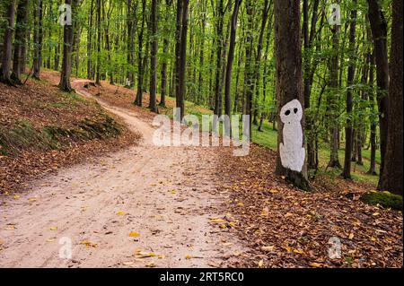 Halloween-Silhuette von Mann, Geist oder Außerirdischen, die auf dem Baum im Wald abgebildet ist. Landschaftlich, mystisch, Postkartenansicht, Hintergrundbild Stockfoto