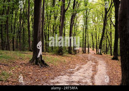 Halloween-Silhuette von Mann, Geist oder Außerirdischen, die auf dem Baum im Wald abgebildet ist. Landschaftlich, mystisch, Postkartenansicht, Hintergrundbild Stockfoto