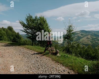Eine tausendjährige Wanderin mit zwei Hunden und Rucksack in den Karpaten, auf dem Gipfel der Ukraine, ein europäisches Rucksacktouristen und Haustiere, Freunde auf landschaftlich reizvollen Landschaften Stockfoto