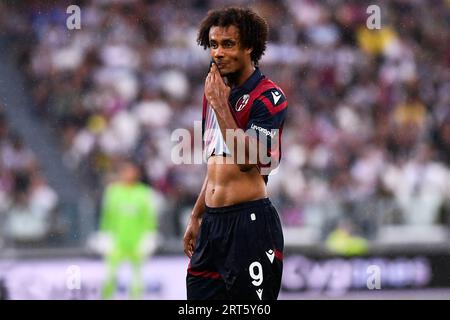 Joshua Zirkzee (Bologna FC) während des Fußballspiels der Serie A zwischen Juventus FC und Bologna im Allianz Stadion am 27. August 2023 in Turin, Italien Stockfoto